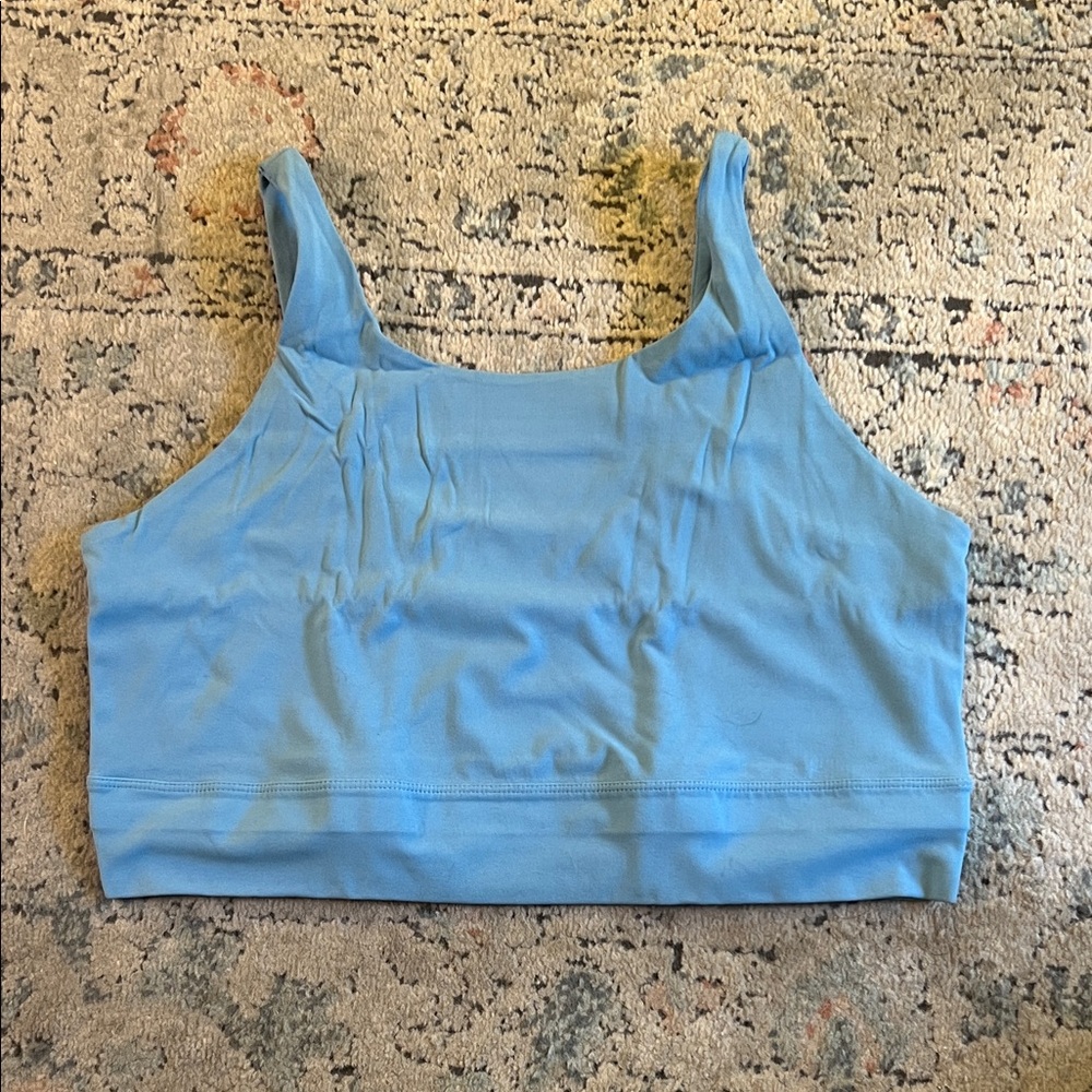 Light Blue Sports Bra Top